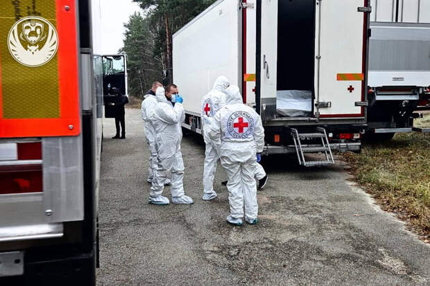 ТАСС: Россия передала Украине 1000 тел погибших военных ВСУ