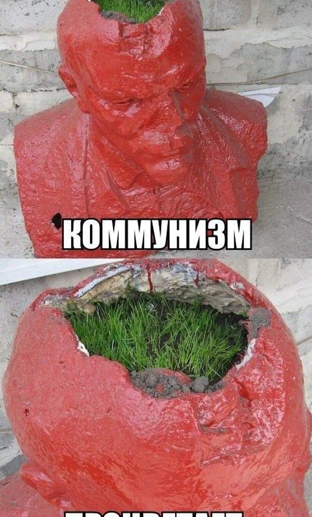 Прикольные картинки Прикольные картинки