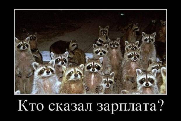 Демотиваторы (30 фото)