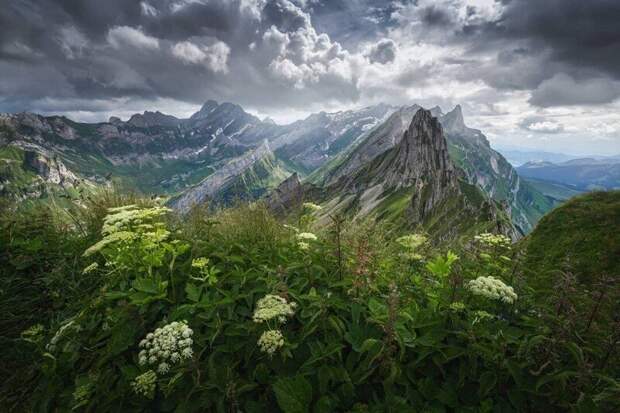 Замечательные пейзажные фотографии Альберта Дроса