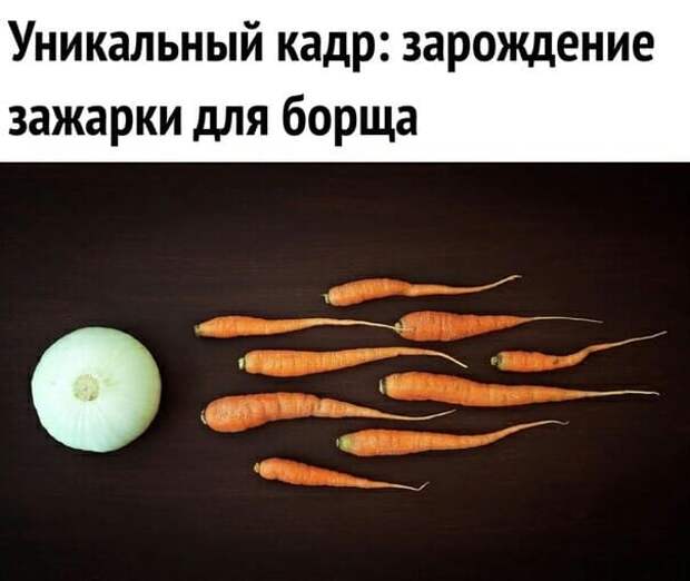 Исполняя танец с саблями, плохой танцор случайно стал хорошим. Исполняя танец с саблями, плохой танцор случайно стал хорошим.