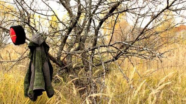 Гости студии «Патриота» обсуждают плюсы и минусы привлечения казаков на госслужбу