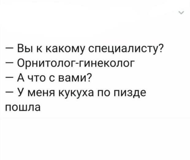 Не ищите здесь смысл. Здесь в основном маразм