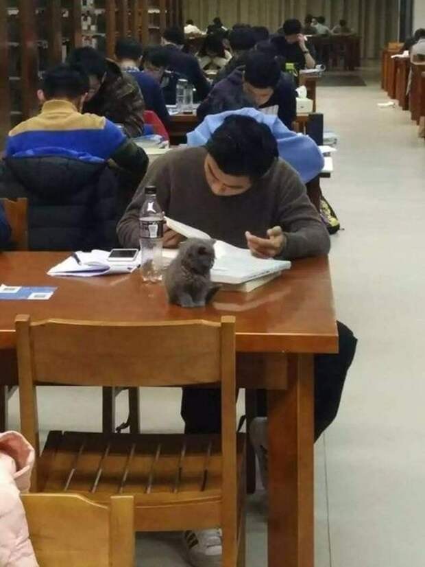 Так нечестно, ему домашку помогают делать!