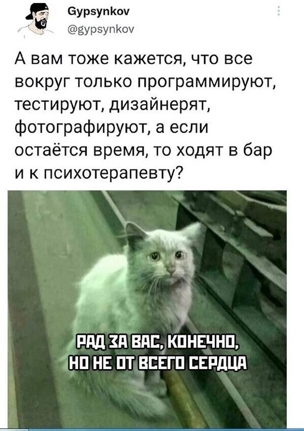 11. Куда подевались все юристы и экономисты? 11. Куда подевались все юристы и экономисты?