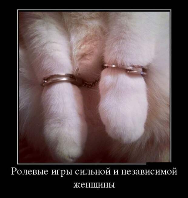 Прикольные демотиваторы