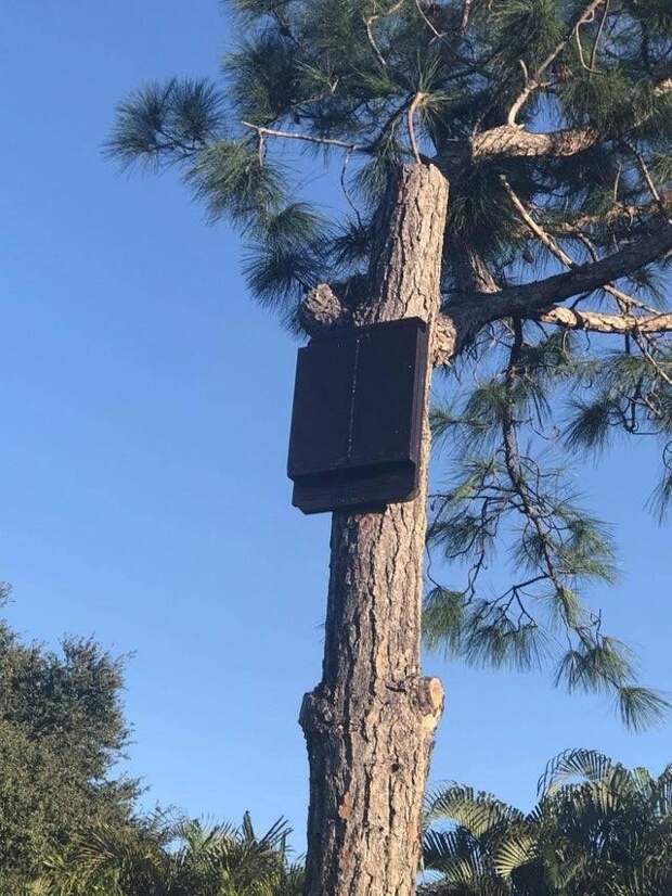 Фотография: 20 странных находок, происхождение которых удалось узнать благодаря Сети №8 - BigPicture.ru