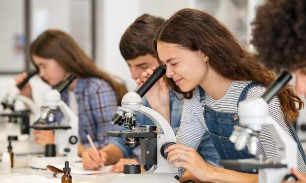 ЕГЭ по химии-2026: что изменилось, за что отнимают баллы и как подготовиться к экзамену