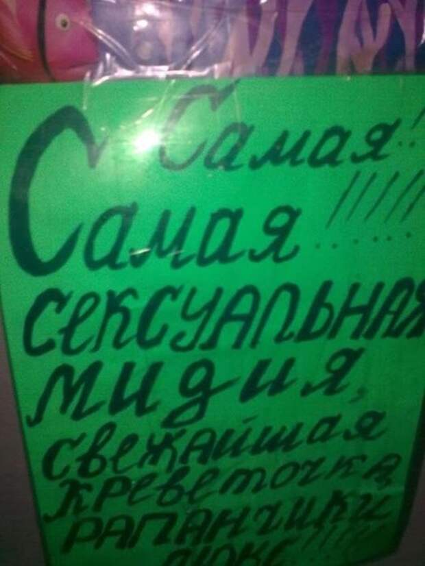 Забавные надписи и объявления