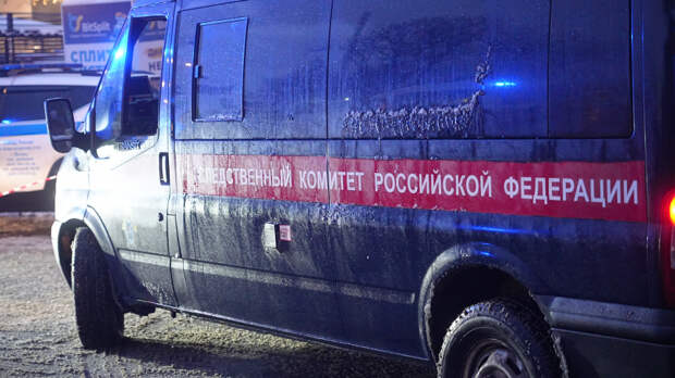 Пропавшие в Петербурге дочери и мать вышли на связь