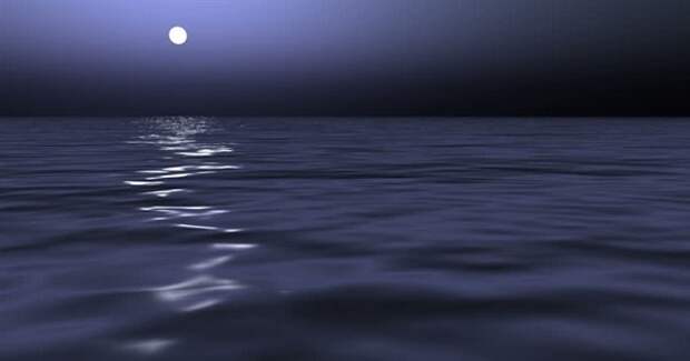 image7_600x315