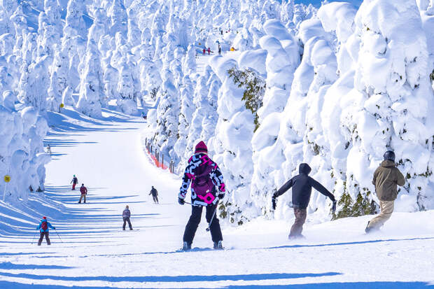 Избивший ребенка на горке россиянин сам пришел в полицию