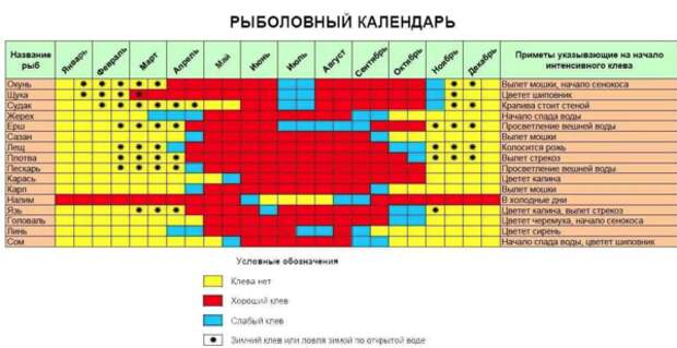 Календарь клёва в течении всего года.