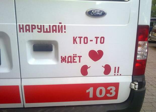 Прикольные картинки Прикольные картинки