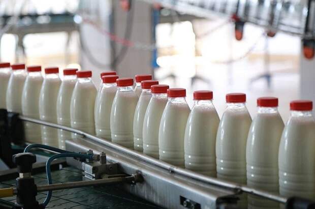 Больше половины молока эконом-сегмента в Петербурге не соответствуют нормативам.