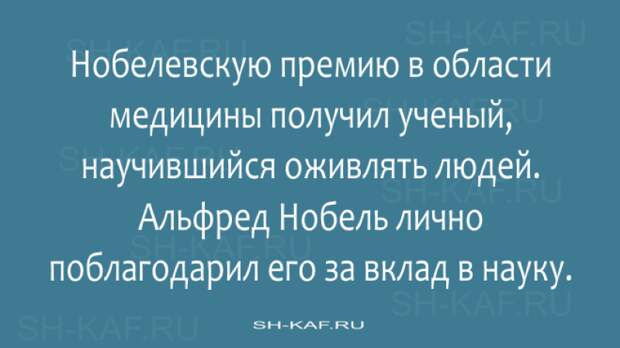 Тридцать отличных жизненных шуток, в которых многие узнают себя