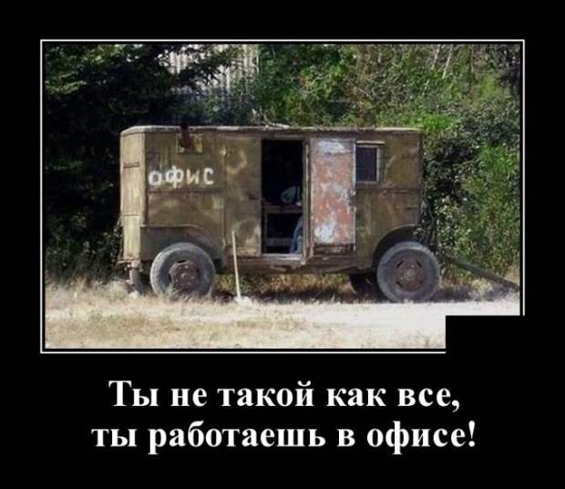 Демотиваторы