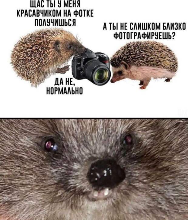 @psychology_funny #юмор #смешное #приколы