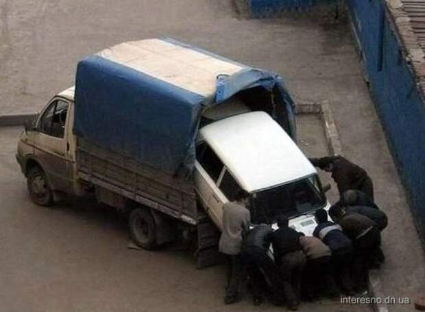 Прикольные фото