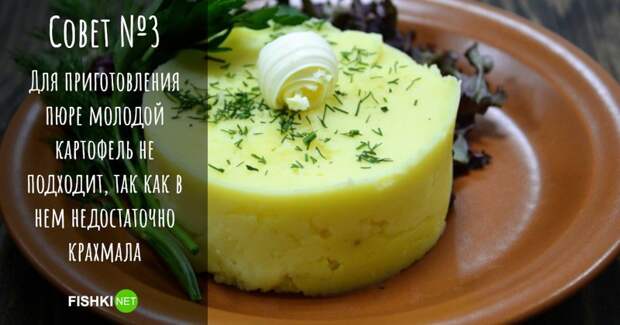 10 важных пунктов для приготовления картофеля