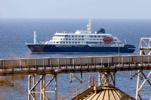 В ВОЗ заявили, что на корабле MV Hondius произошла вспышка вируса Андес