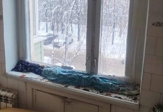 Молодежный совет администрации Рязани установил пластиковое окно в квартире 91-летней Антонины Шебалковой