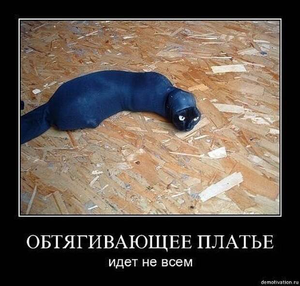 Всяко - разно 19 ))) Всяко - разно 19 )))