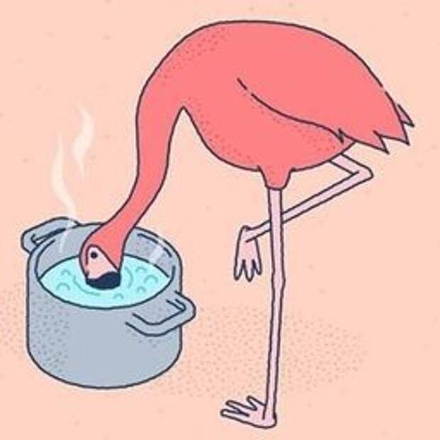 Что будет если пить кипяток. Фламинго пьет воду. Фламинго бухает. Фламинго пьют кипяток. Моча Фламинго.