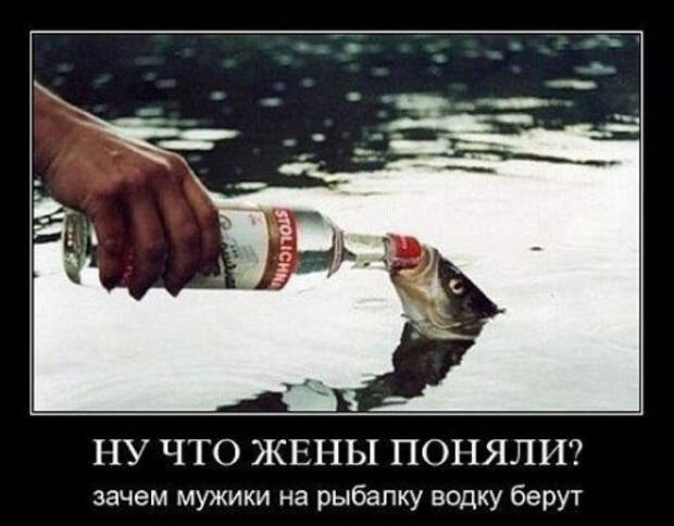 1413983562_2794_club-fish.ru_6 (450x352, 100Kb)