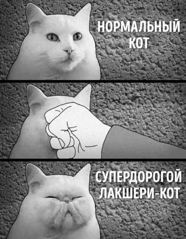 Жесткий юмор (25 фото)