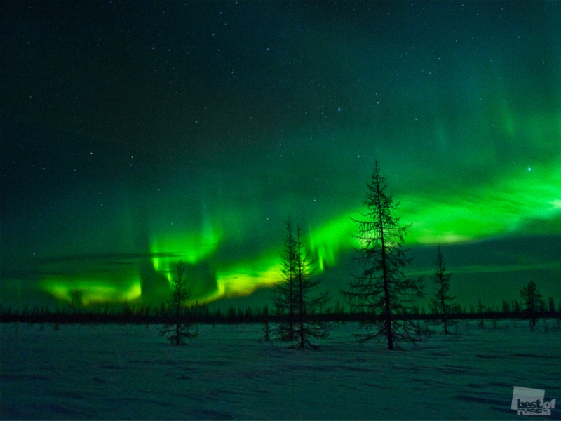 0207 Лучшие фотографии России 2011. Номинация “Природа”