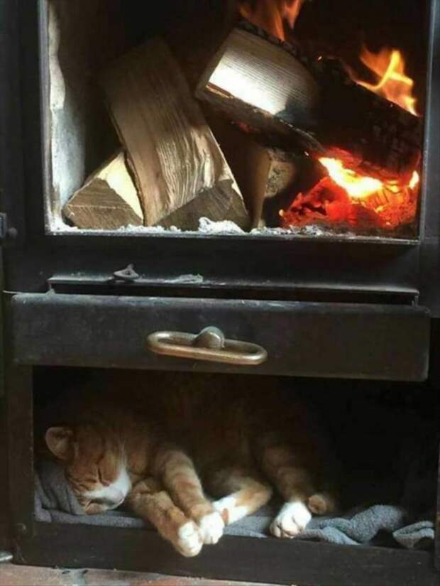 Просто фото.