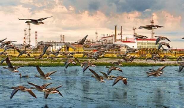 5 млрд рублей превысили «зеленые» инвестиции «РН-Юганскнефтегаза» по итогам 2021 года