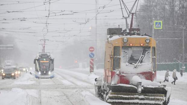 Синоптик Цыганков: февраль в Москве показал зимний характер