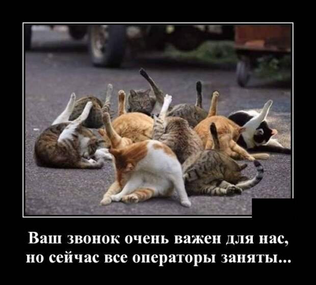 Демотиваторы (20 фото)