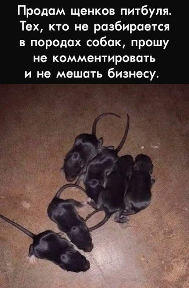 Бизнес