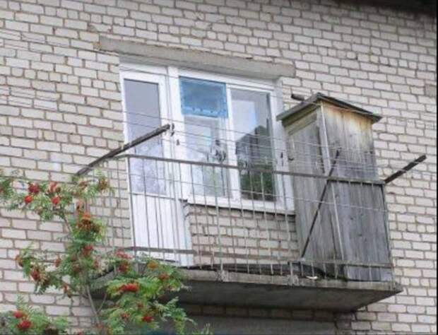 Источник Яндекс Картинки. 
