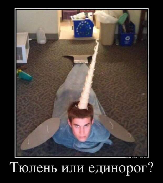 Демотиваторы