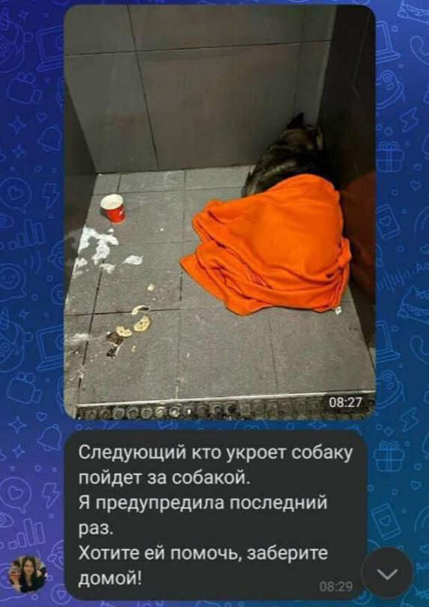 Собаку выгнали на мороз, а его — с работы. Что не так с этим миром?