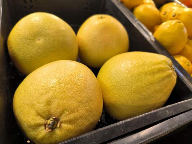 Россияне поверили в лайм