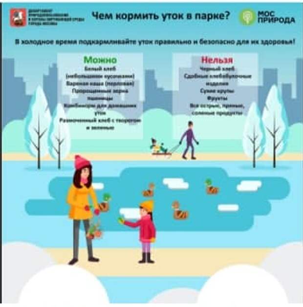 У водоплавающих птиц в парке «Тушинский» начался брачный период