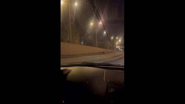 Video: video (2).mp4