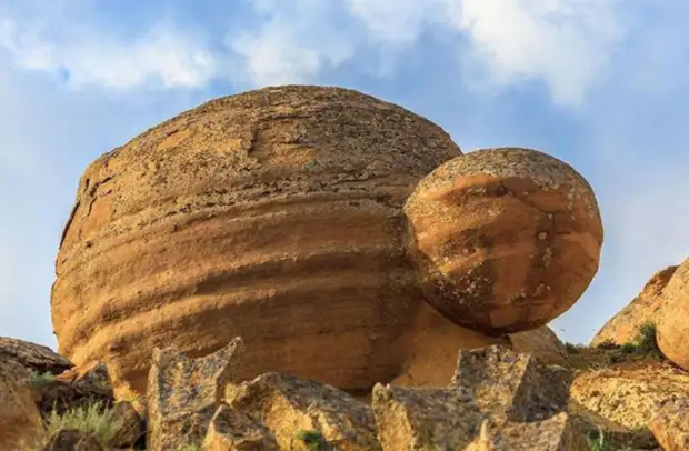 Трованты вырастают довольно большими, а ещё размножаются