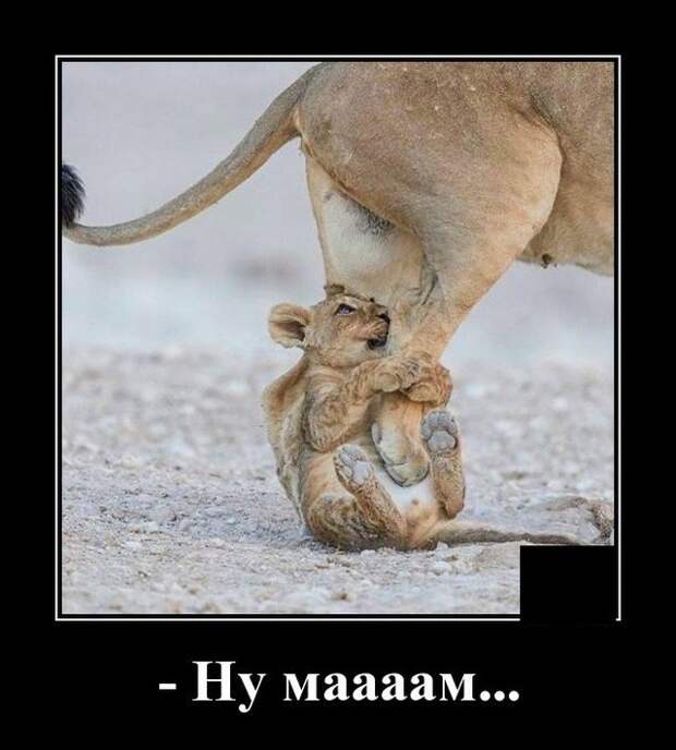 Демотиватор про маму
