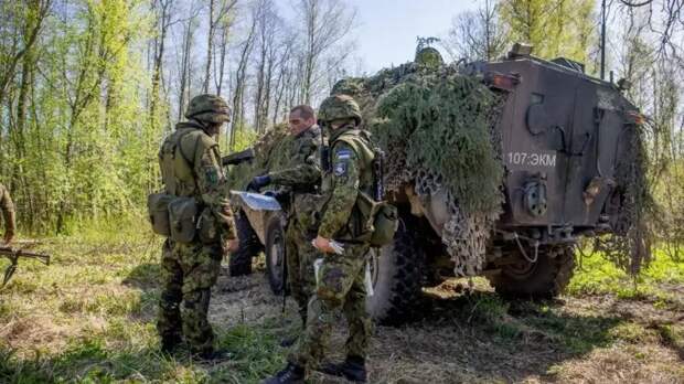 В США рассказали, что будет, если РФ уничтожит эстонское подразделение в Луцке