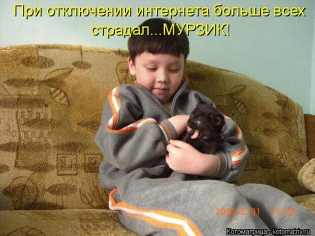 Котоматрицы (картинки с подписями)