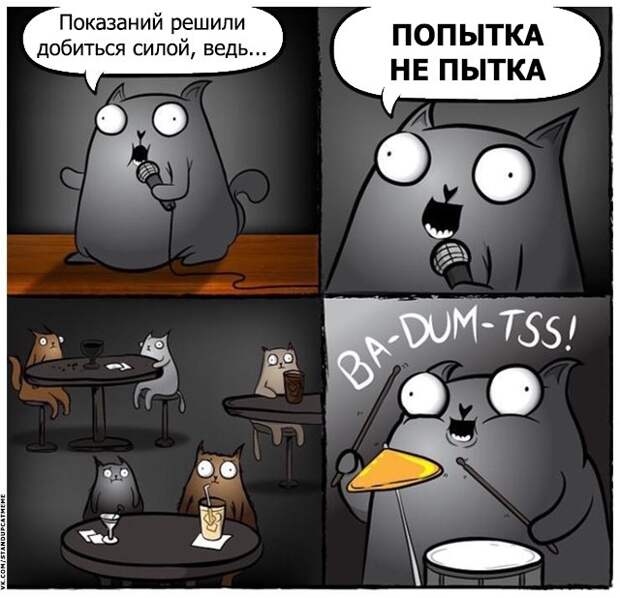 Стендап-кот и его коллекция саркастических комиксов Стендап-кот и его коллекция саркастических комиксов