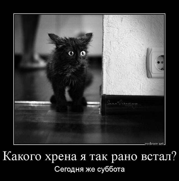 Коллекция весёлых картинок про субботу