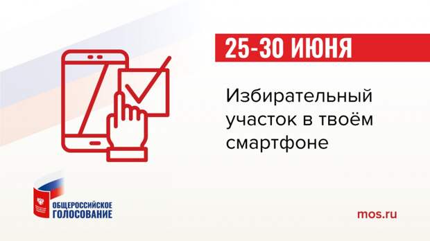ВЦИОМ: электронное голосование позволит привлечь к выборам новых избирателей alt
