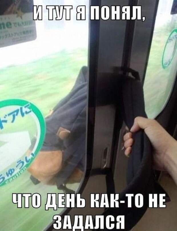 Прикольные картинки